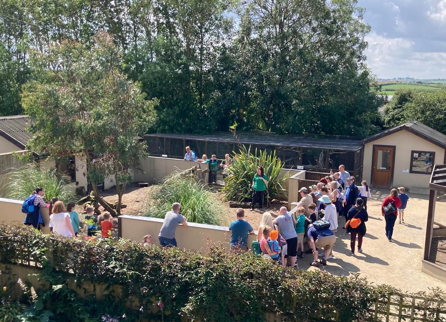 Families observing meerkat talk in their outdoor enclosures at Filey Zoo