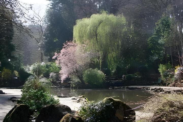 Accommodation at Miricia in scarborough