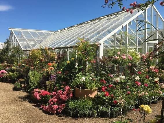 RV Roger - Garden in york