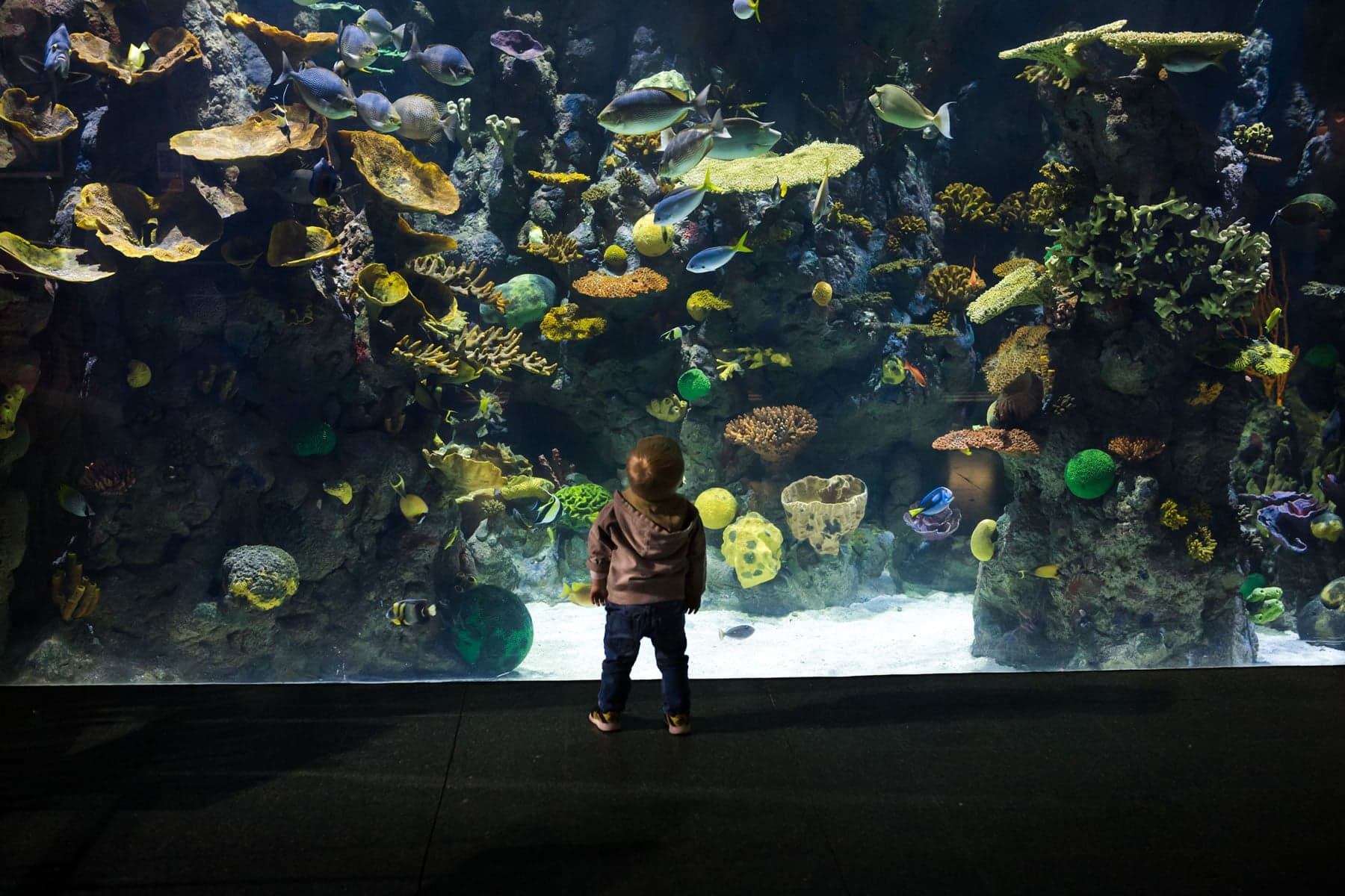 Business Centre @ The Deep Celebrates 25 Year Anniversary With a Legacy of Community and Conservation