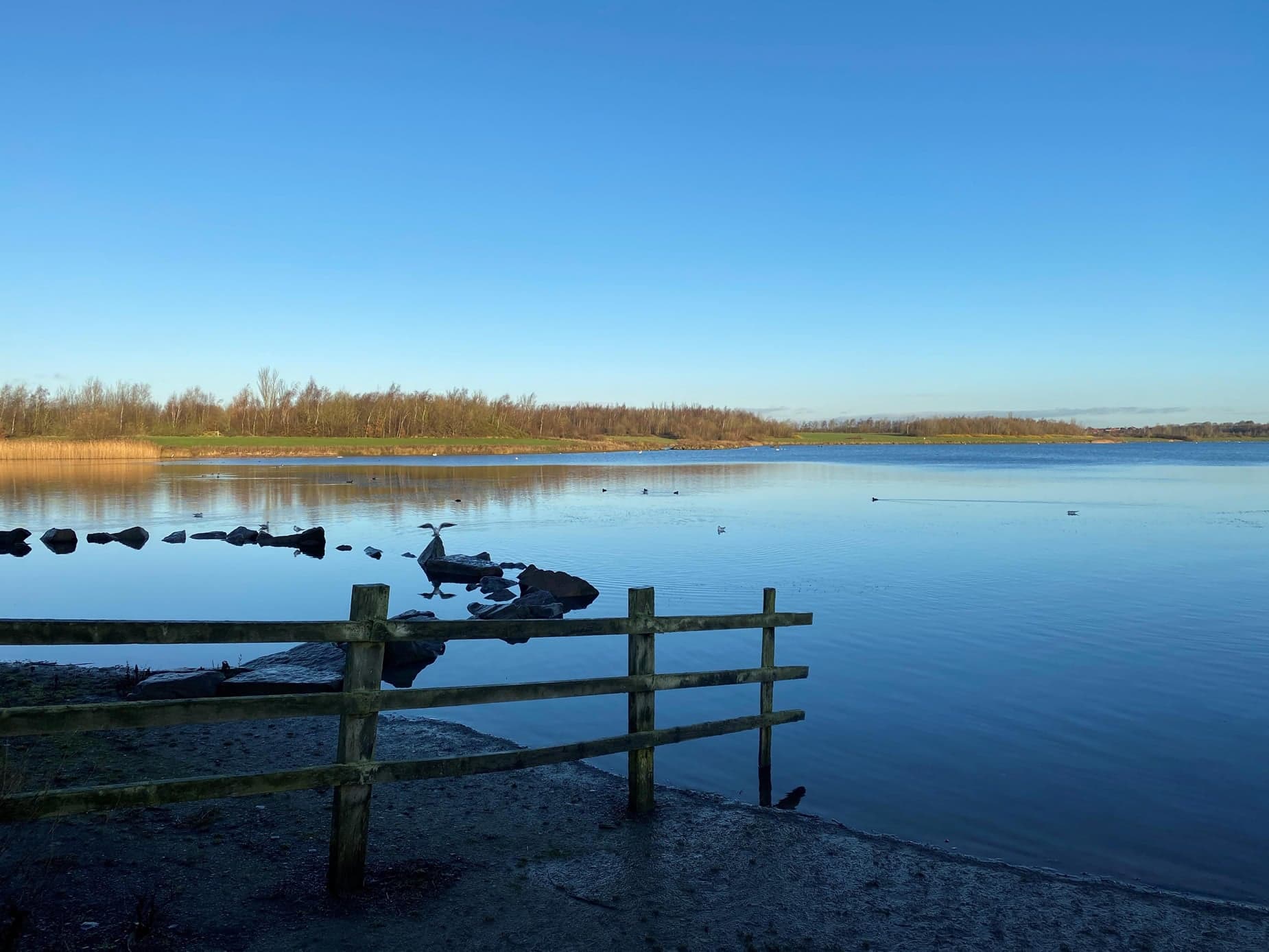 Visit Anglers Country Park - Visitor Information Image 4