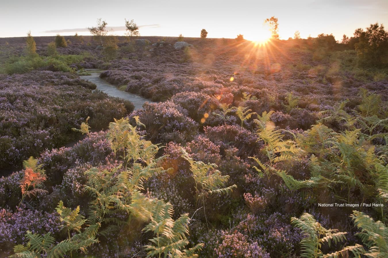 Brimham Rocks Image 2