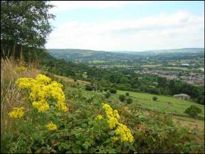 Visit Chevin Forest Park - Otley Image 1