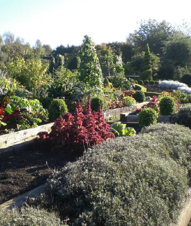 Golden Acre Park Image 3