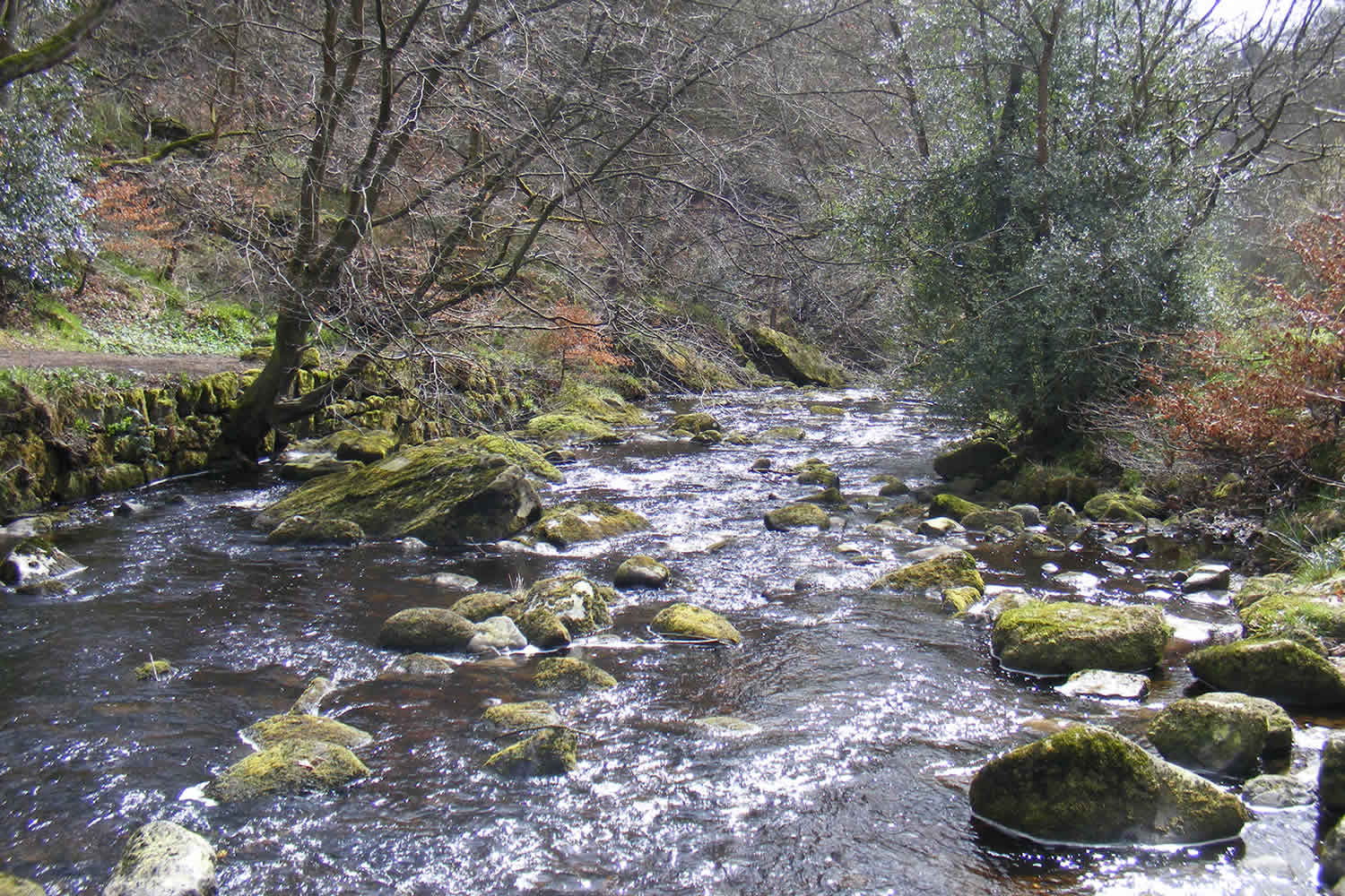 Visit Hardcastle Crags - Prices, Times, Visitor Info Image 4