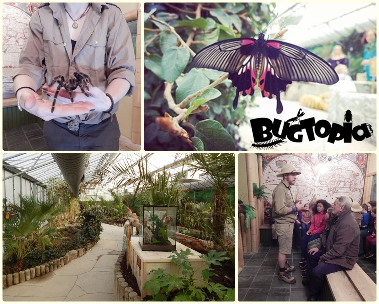 Hornsea Freeport Image 4