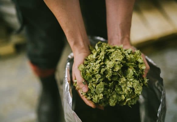 Ilkley Brewery Image 2