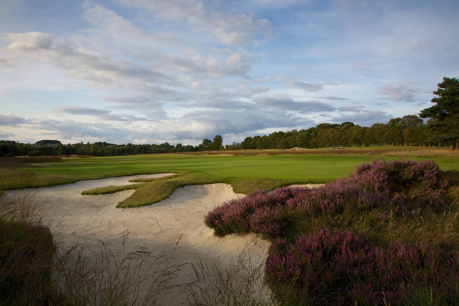 Moortown Golf Club Image 3