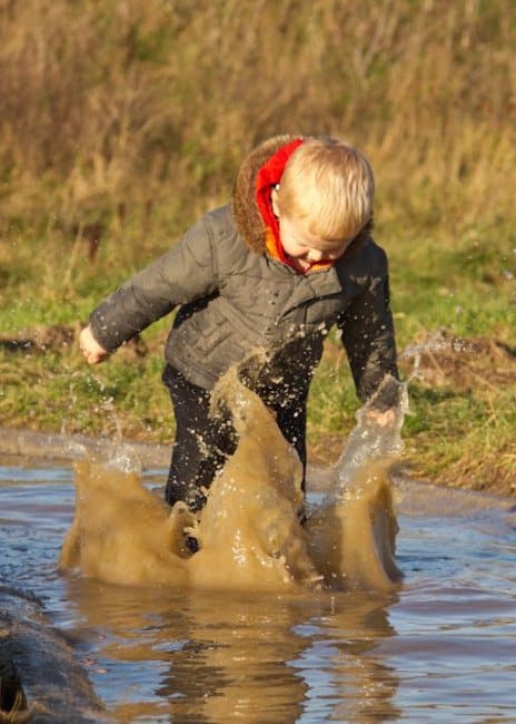 Visit RSPB Saltholme Nature Reserve Image 2