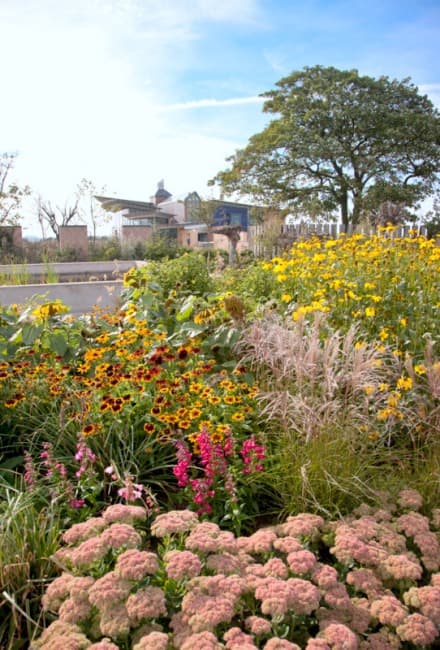 Visit RSPB Saltholme Nature Reserve Image 3