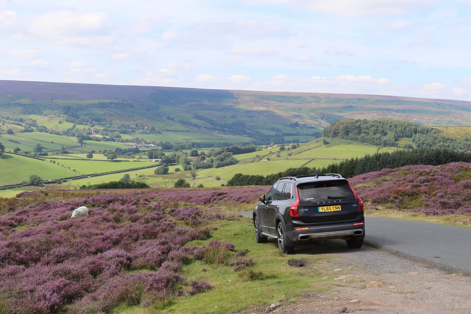 Real Yorkshire Tours Image 1