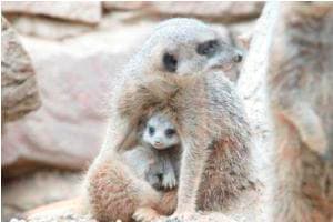 Granary Wharf Image 9