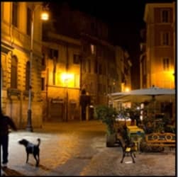 Stonegate Yard Image 1