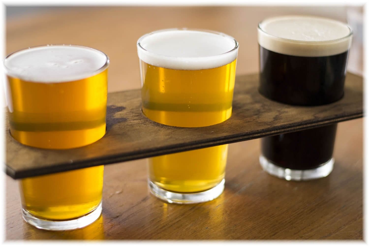 The Black Swan Image 1