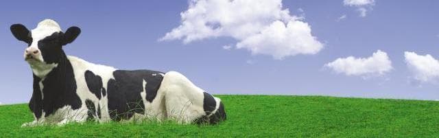 The Milk Churn Image 2