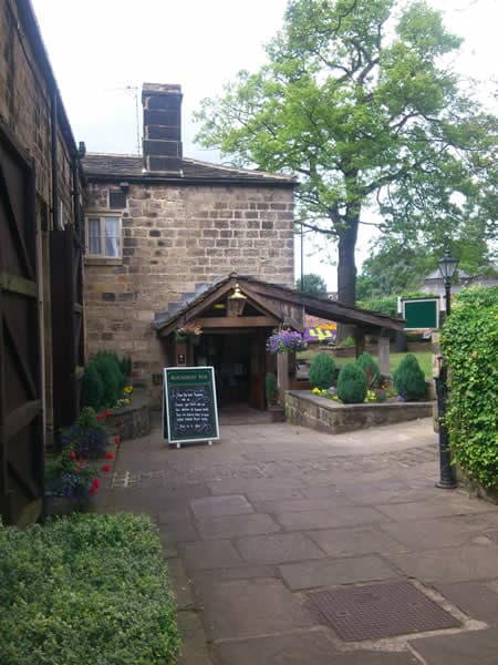 The Roundhay Fox Image 3