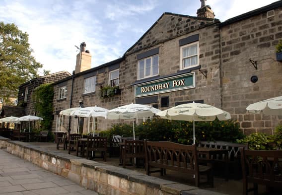 The Roundhay Fox Image 2