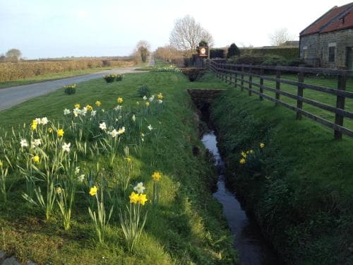 Badger Cottage Image 2