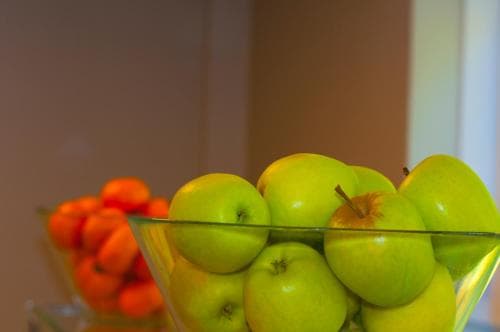 Stableside at York Racecourse Image 2