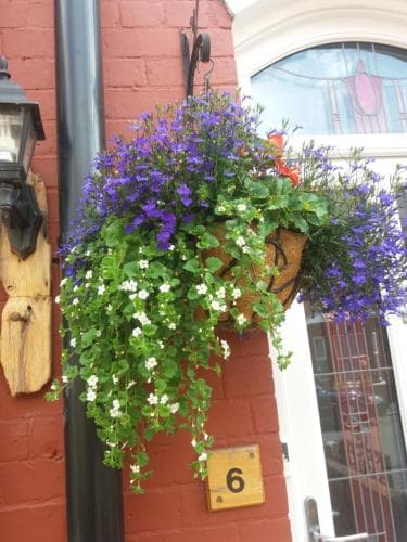 St Hilda Guest House Image 2