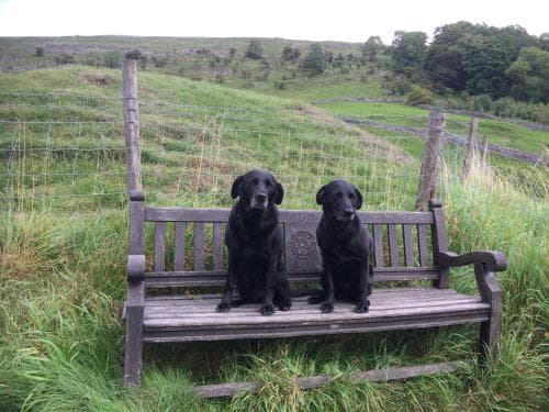 Fox and hounds starbotton Image 3