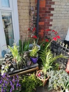 Harbour View B&B Image 1