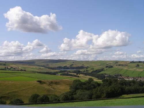 Coddy's Farm Image 4