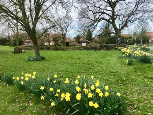 Woodlands Cottage Image 2