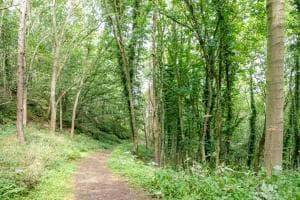 Discovery Cottage Image 2