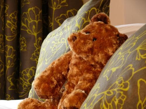 Red Lion Hotel Image 2