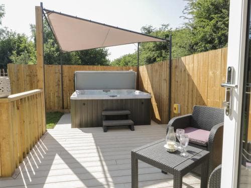 Bluebell Wood Image 3