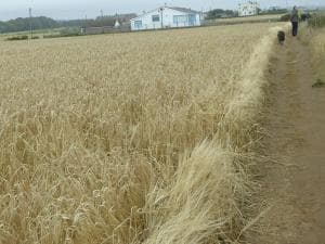Bridlington's Bolt Hole chalet Image 2