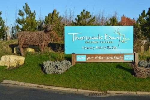 Yellow Hammer - Free WiFi Image 3