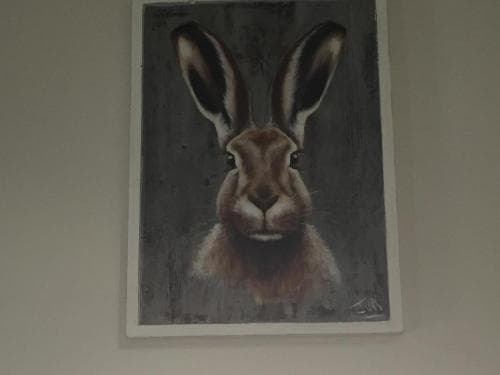 Hare Cottage at Hill Top Image 2