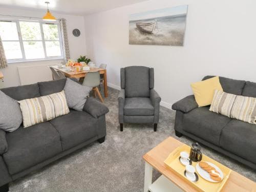 Dabbling Ducks Image 3