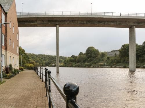 Anchors Down Image 2