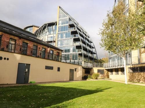 Apartment 207 Image 3