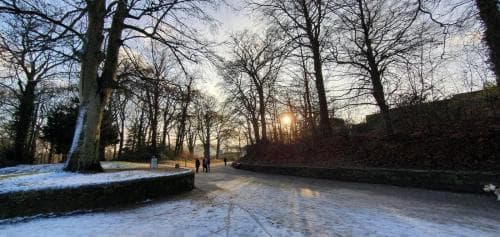 Spacious and Luminous Roundhay Gem Image 2