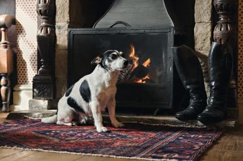 The White Swan Inn Image 2