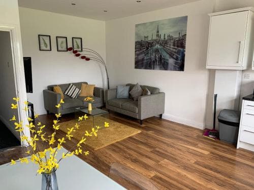 spacious apartment close to city centre with free secure parking Image 8