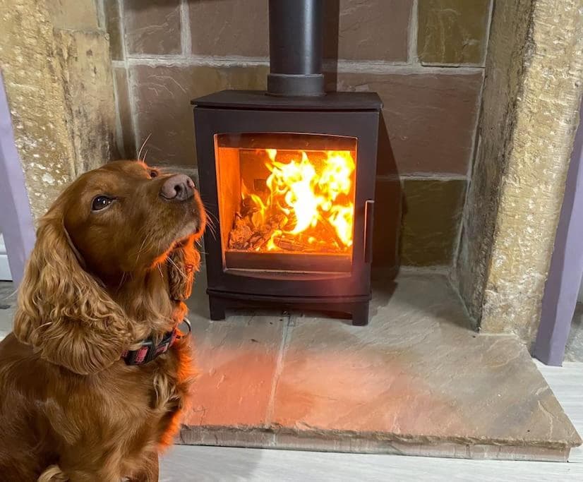 Custard creams cottage Image 1