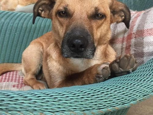 High Paradise Farm Image 3