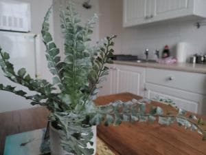 Sea View flat 2 with Fast WiFi and FREE parking Image 5