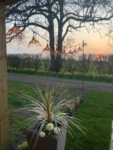 Meadows Lodge Image 3