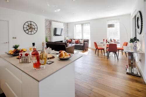 Springfield Four Image 2