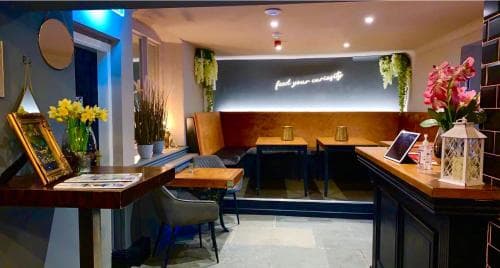 The Curious Fox Image 3