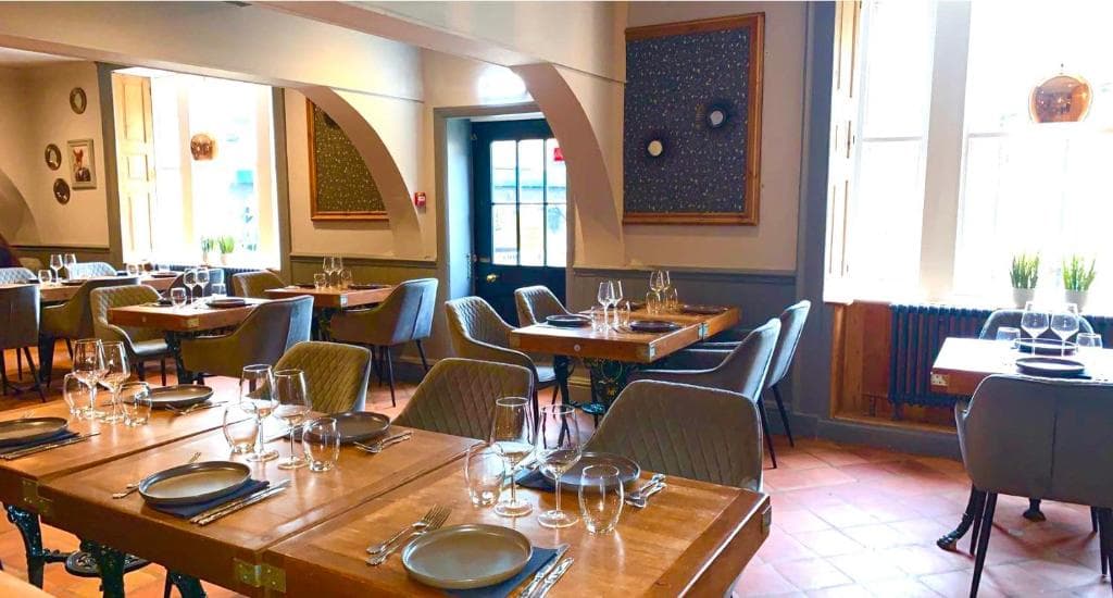 The Curious Fox Image 1