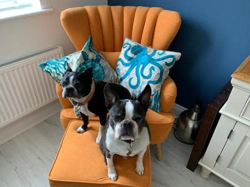 WHITBY-CAPTAINS HOUSE WHITBY - 4 bed Luxury Holiday Home Image 3