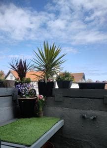 Whitby Central walk to Beach Pier Flowergate Image 4