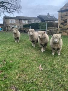 Brand new purpose built annex :- The Stables Image 1